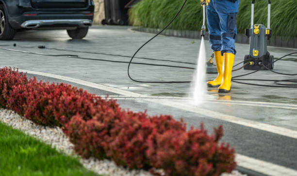 Best Sidewalk and Walkway Cleaning  in Inesville, GA